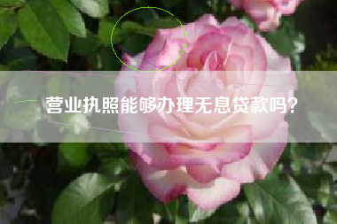营业执照能够办理无息贷款吗？