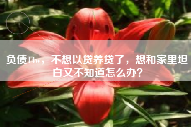 负债14w，不想以贷养贷了，想和家里坦白又不知道怎么办？
