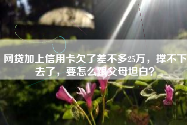 网贷加上信用卡欠了差不多25万，撑不下去了，要怎么跟父母坦白？