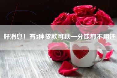 好消息！有3种贷款可以一分钱都不用还