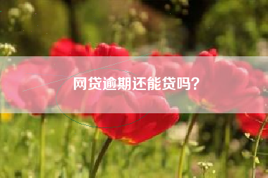 网贷逾期还能贷吗？