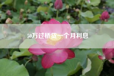 50万过桥贷一个月利息