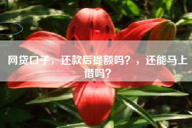 网贷口子，还款后提额吗？，还能马上借吗？