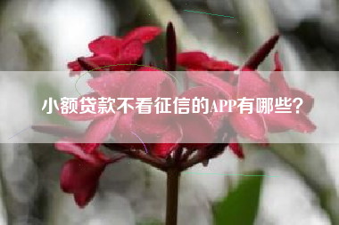 小额贷款不看征信的APP有哪些？