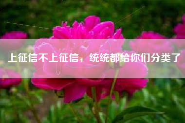 上征信不上征信，统统都给你们分类了