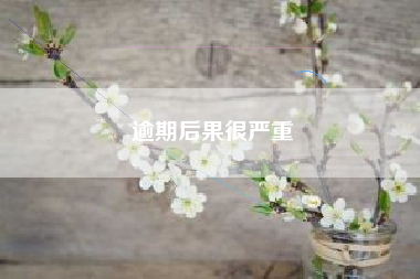 逾期后果很严重