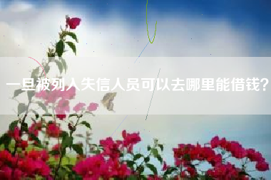 一旦被列入失信人员可以去哪里能借钱？