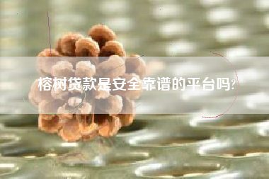 榕树贷款是安全靠谱的平台吗?