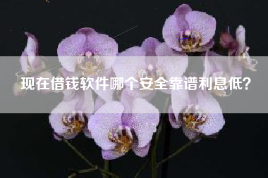 现在借钱软件哪个安全靠谱利息低？