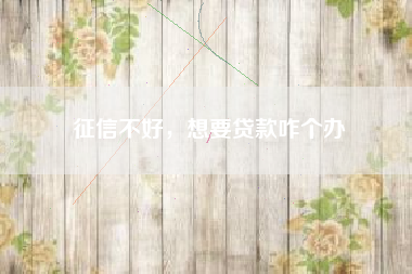 征信不好，想要贷款咋个办