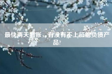 最快两天到账，有没有不上征信负债产品?