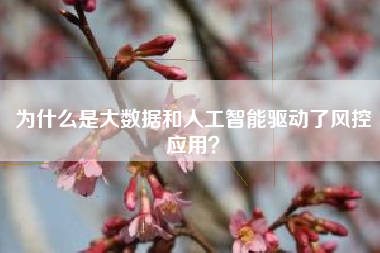 为什么是大数据和人工智能驱动了风控应用？