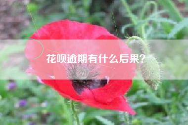 花呗逾期有什么后果？