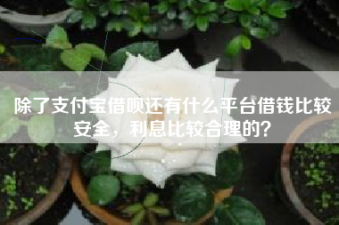 除了支付宝借呗还有什么平台借钱比较安全，利息比较合理的？