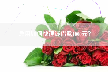 急用如何快速钱借款1000元？