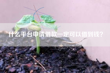 什么平台申请借款一定可以借到钱？