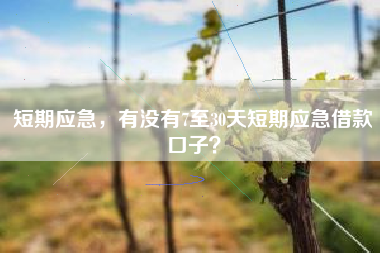 短期应急，有没有7至30天短期应急借款口子？