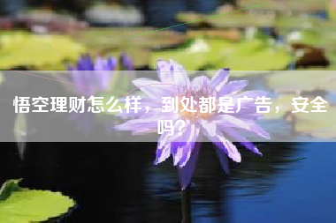 悟空理财怎么样，到处都是广告，安全吗？
