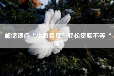邮储银行“小微易贷”轻松贷款不等“贷”