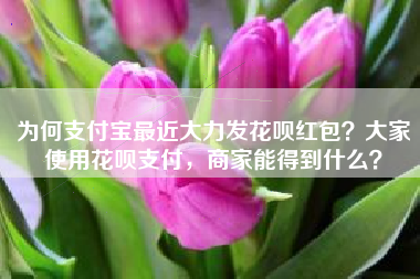 为何支付宝最近大力发花呗红包？大家使用花呗支付，商家能得到什么？