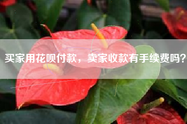 买家用花呗付款，卖家收款有手续费吗？