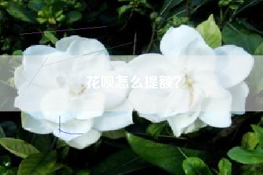花呗怎么提额？