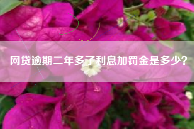 网贷逾期二年多了利息加罚金是多少？