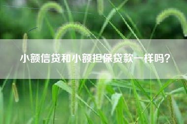 小额信贷和小额担保贷款一样吗？
