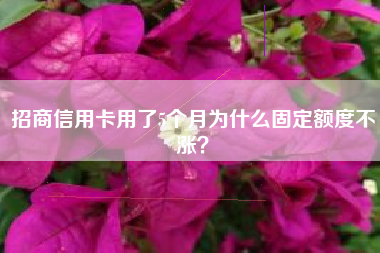 招商信用卡用了5个月为什么固定额度不涨？