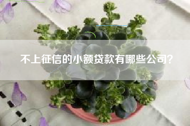 不上征信的小额贷款有哪些公司？