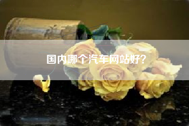 国内哪个汽车网站好？