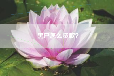 黑户怎么贷款？