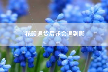花呗退货后钱会退到哪