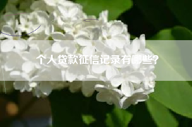 个人贷款征信记录有哪些？