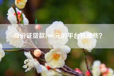 身份证贷款1000元的平台有哪些？