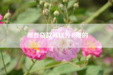 哪些贷款可以分48期的