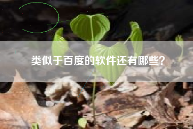 类似于百度的软件还有哪些？