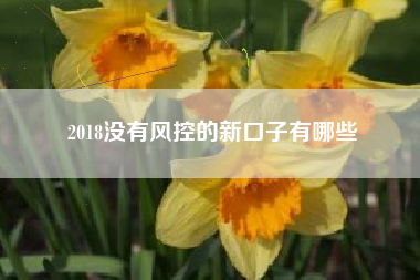 2018没有风控的新口子有哪些