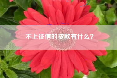 不上征信的贷款有什么？
