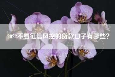 2022不看征信风控的贷款口子有哪些？