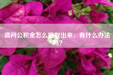 请问公积金怎么提取出来，有什么办法吗？