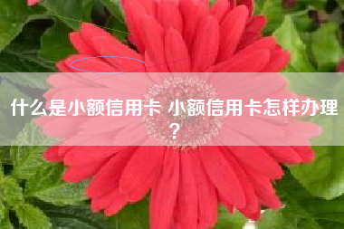 什么是小额信用卡 小额信用卡怎样办理？