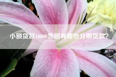 小额贷款10000急用有哪些分期贷款？