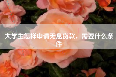 大学生怎样申请无息贷款，需要什么条件