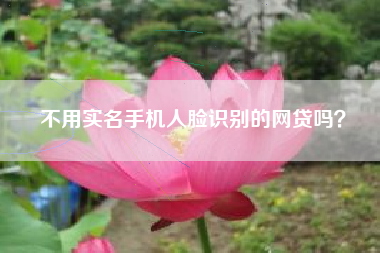 不用实名手机人脸识别的网贷吗？