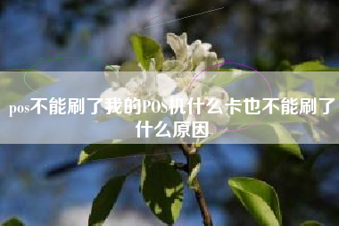 pos不能刷了我的POS机什么卡也不能刷了什么原因