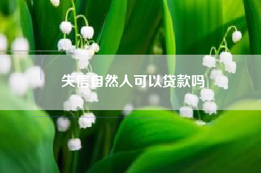 失信自然人可以贷款吗