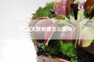 网贷大数据要怎么查询？