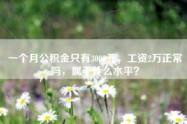一个月公积金只有3000元，工资2万正常吗，属于什么水平？