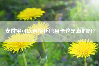 支付宝可以直接还信用卡这是真的吗？